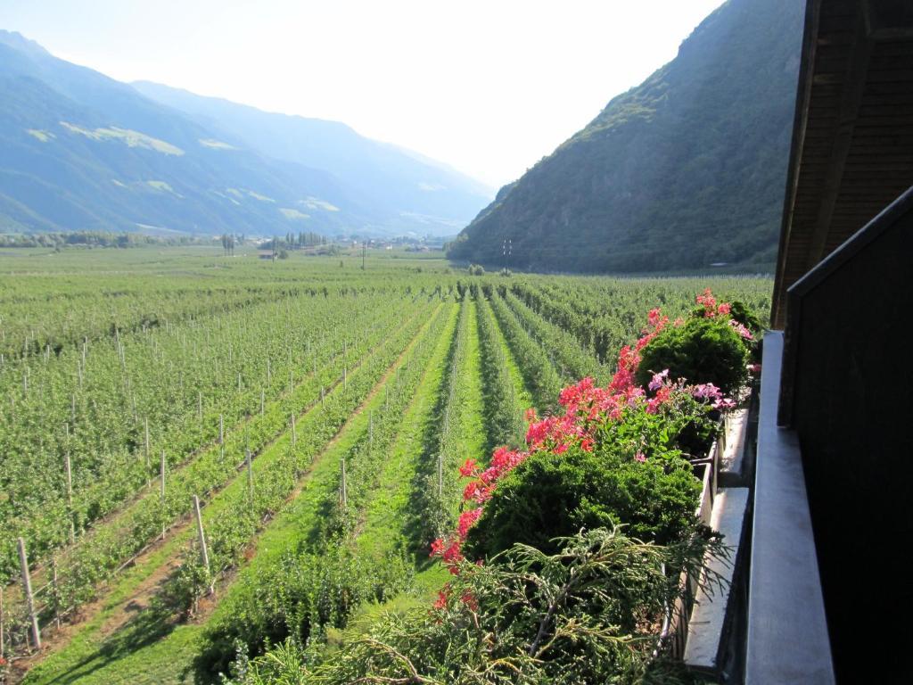 Garni Weghueb Bed & Breakfast Rabla Ngoại thất bức ảnh